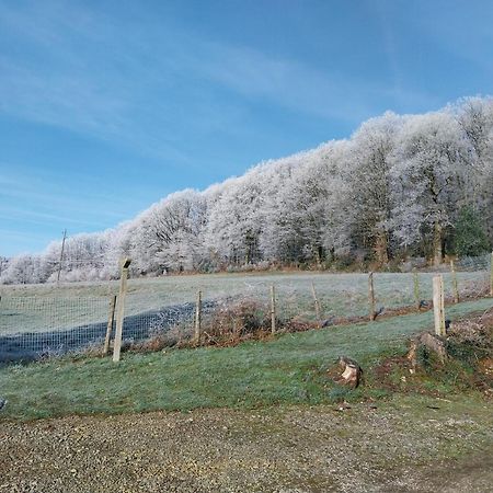 Gite En Lisiere De Foret Andaine Perrou Exterior photo