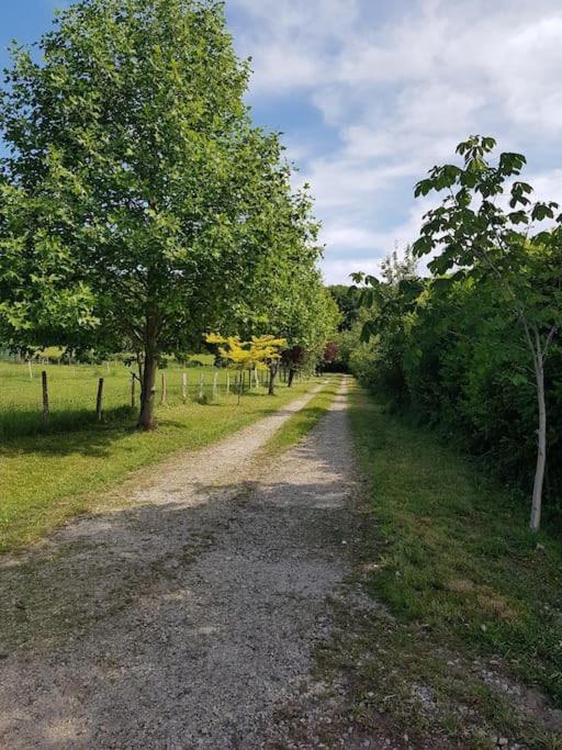 Gite En Lisiere De Foret Andaine Perrou Exterior photo