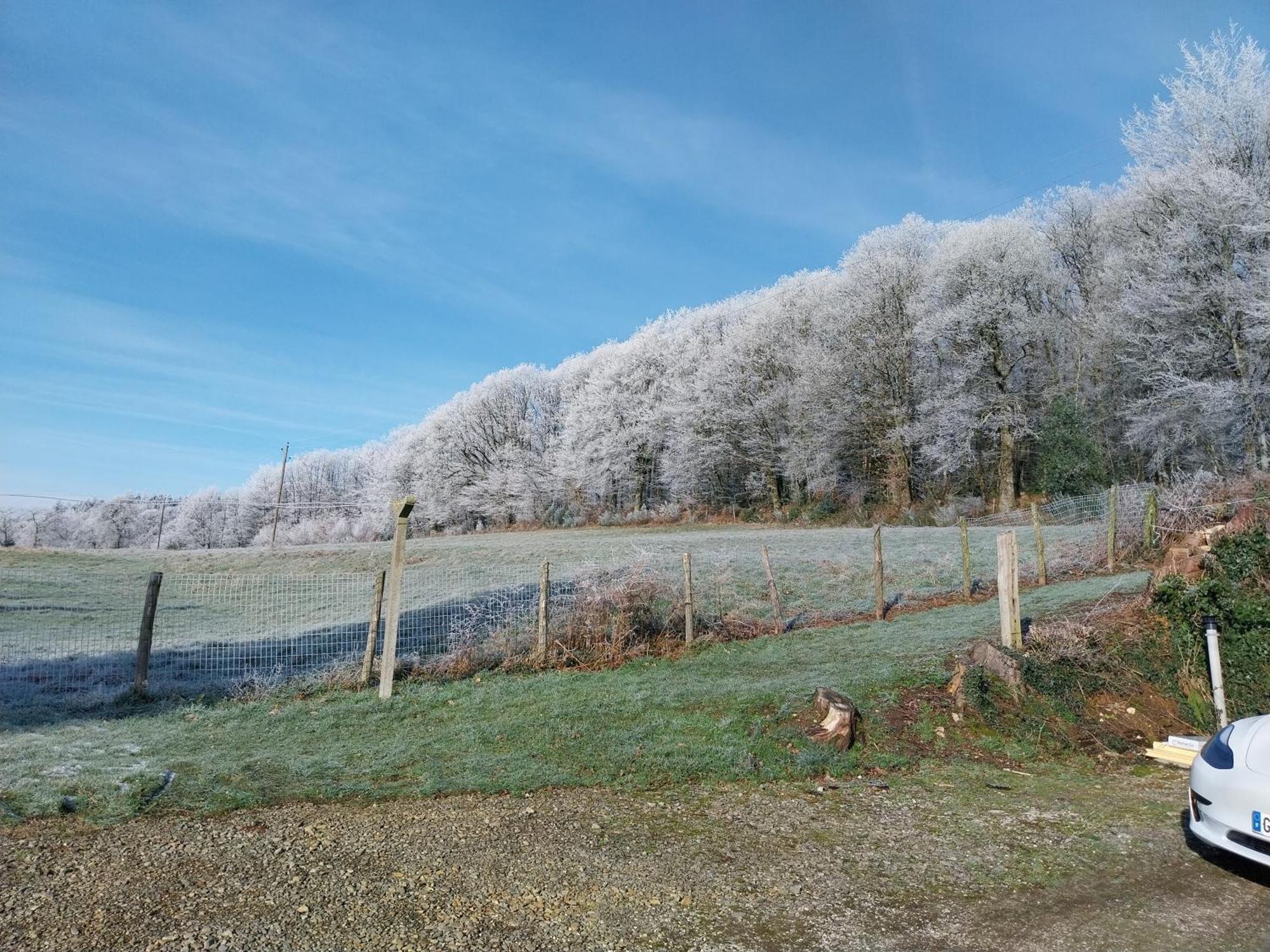 Gite En Lisiere De Foret Andaine Perrou Exterior photo